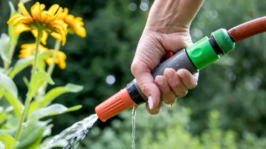 Wer beim Gießen im Garten oder auf dem Balkon Trinkwasser verwendet, sollte auf den Verbrauch achten. (Foto: Christin Klose/dpa-tmn/Illustration)