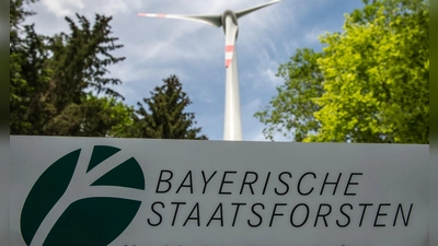 Ein Windrad im Staatswald nahe Beratzhausen in der Oberpfalz. Die Staatsforsten wollen bis zu 500 Windräder errichten lassen. (Archivbild) (Foto: Armin Weigel/dpa)