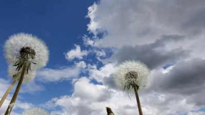 Am Dienstag erwartet Bayern vielerorts ein Sonne-Wolken-Mix. (Symbolbild)  (Foto: Thomas Warnack/dpa)