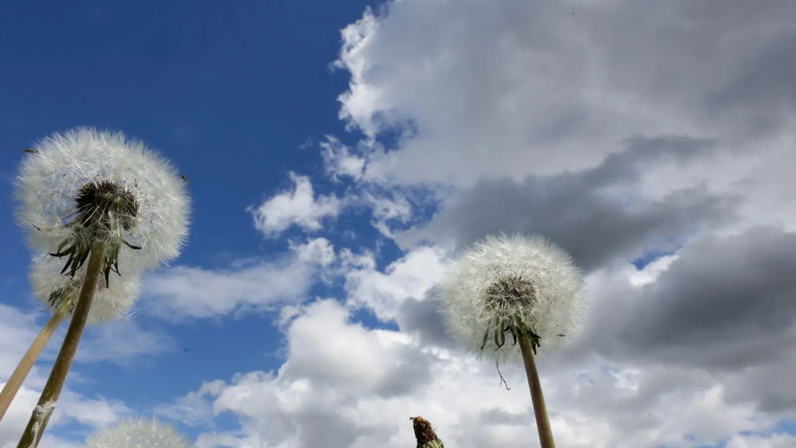 Am Dienstag erwartet Bayern vielerorts ein Sonne-Wolken-Mix. (Symbolbild)  (Foto: Thomas Warnack/dpa)