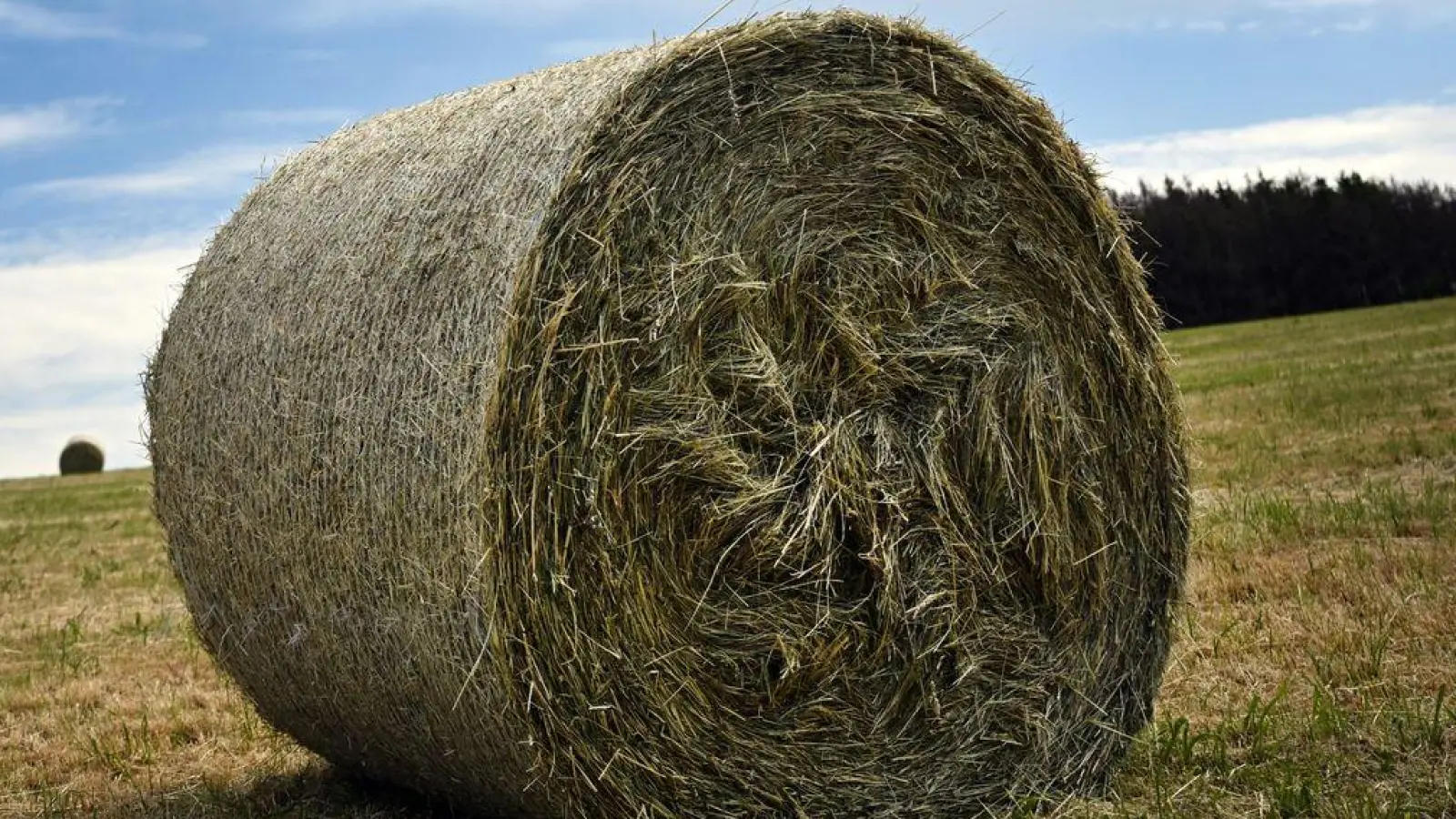 Beim Abladen eines Heuballens kommt es zu einem Unfall. (Symbolbild) (Foto: Federico Gambarini/dpa)