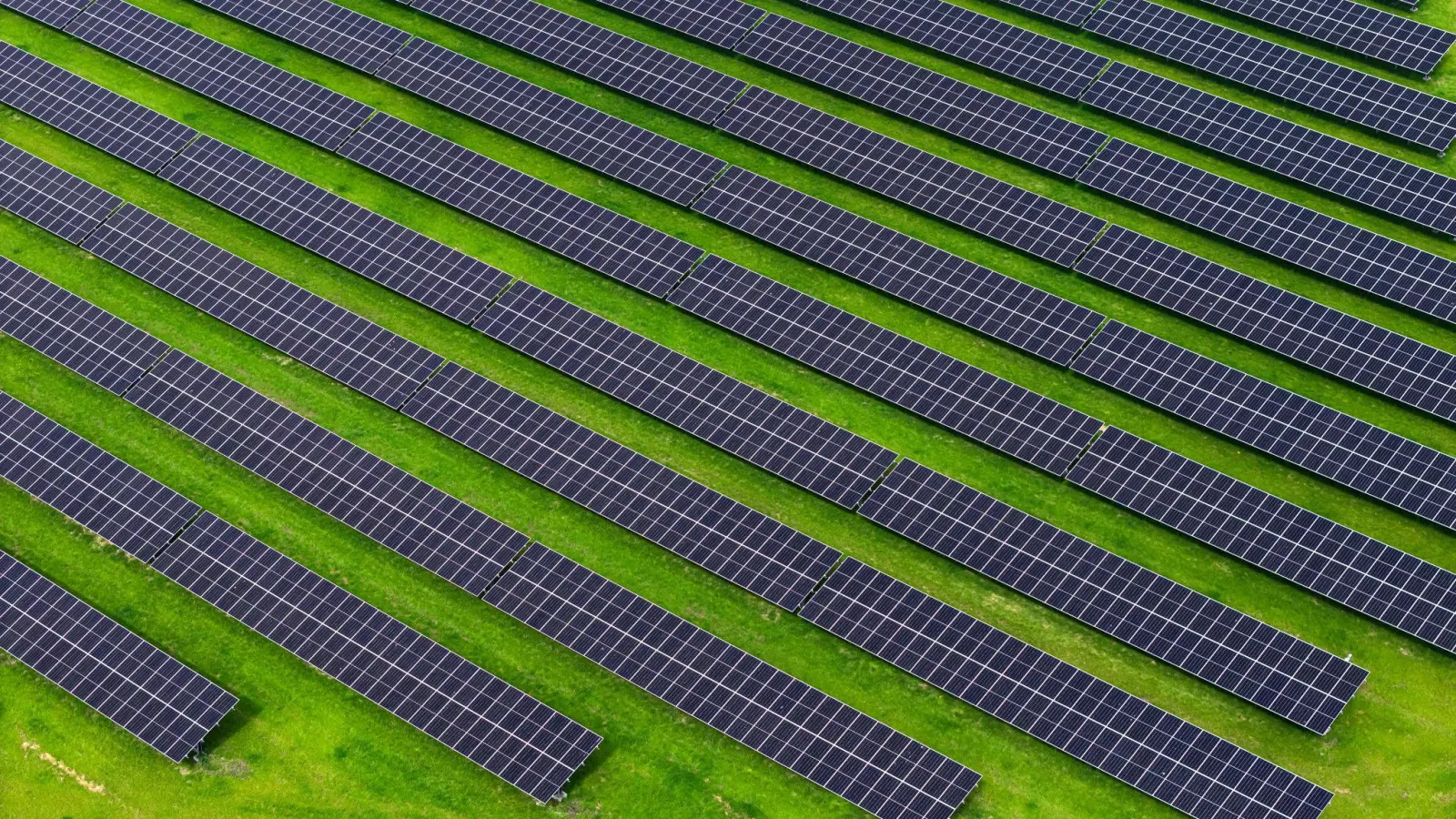 Mit dem Vorstoß will die EU-Kommission mehr Investitionen in die Energiewende ermöglichen. (Archivbild) (Foto: Sina Schuldt/dpa)