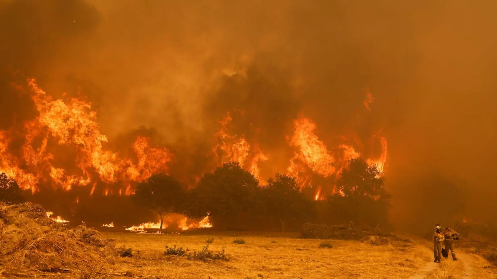 Die Brandbekämpfer sehen sich teilweise mit riesigen Feuerwänden konfrontiert, die durch stürmische Winde jederzeit blitzartig die Richtung ändern können.  (Foto: Lalo R. Villar/AP/dpa)