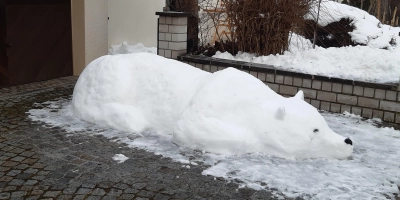 Wurde es diesem Eisbären in Grönland zu heiß? Familie Drexler schuf ihm in Diespeck ein neues Heim. (Foto: Gerlinde Drexler)