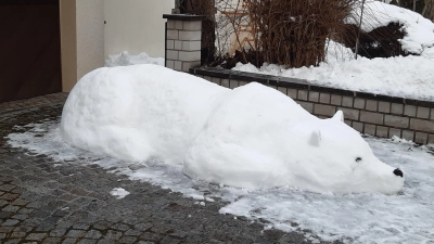 Wurde es diesem Eisbären in Grönland zu heiß? Familie Drexler schuf ihm in Diespeck ein neues Heim. (Foto: Gerlinde Drexler)