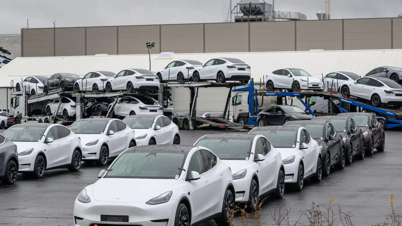 Tesla will als Robotaxis nach bisherigen Angaben zunächst handelsübliche Fahrzeuge des Typs Model Y einsetzen. (Archivbild) (Foto: Patrick Pleul/dpa)