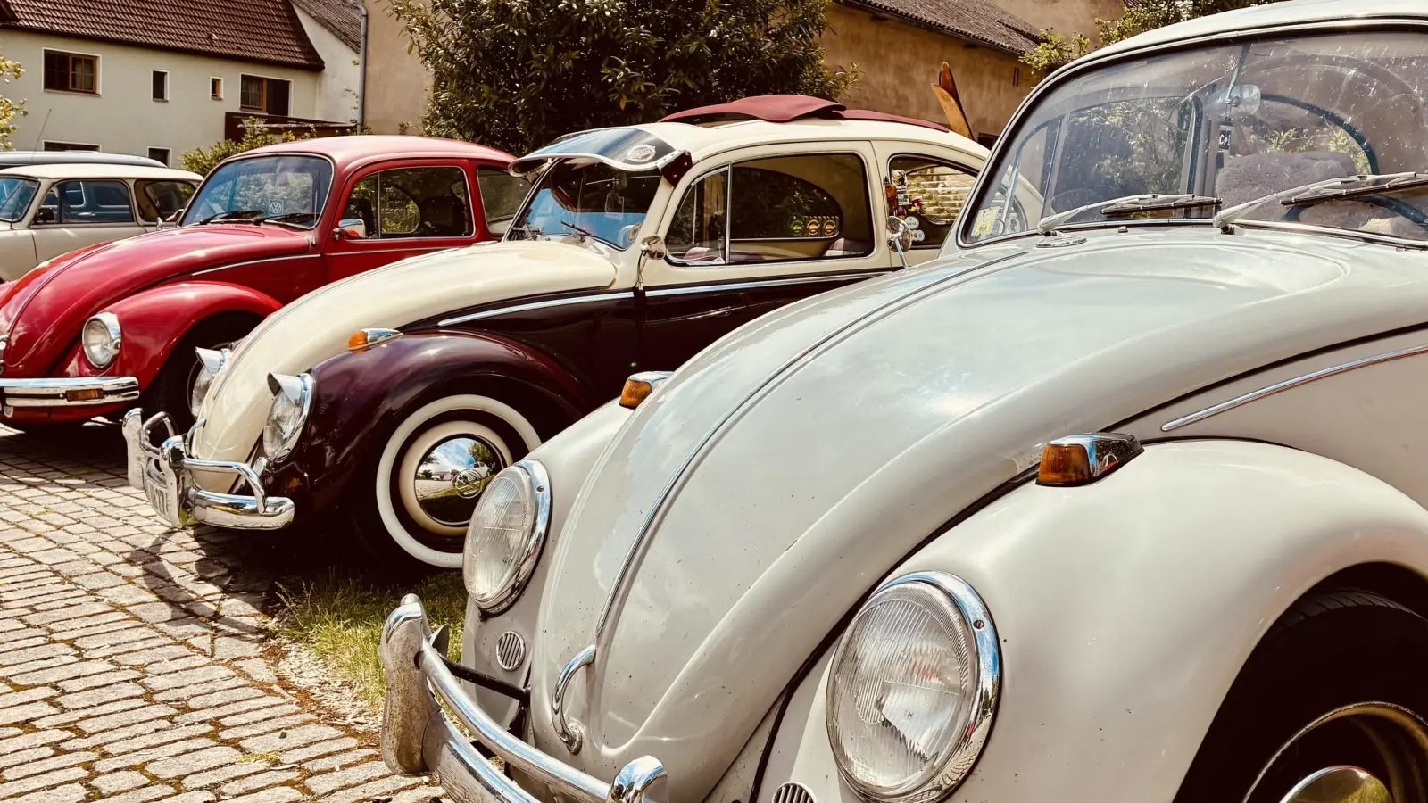 VW-Käfer verschiedener Ausführungen waren zu sehen. (Foto: Ingo Müller)