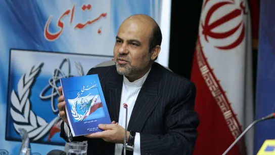 Hingerichtet: Aliresa Akbari, iranischer Verteidigungsminister zwischen 1997-2002. (Foto: Davoud Hosseini/IRNA/dpa)