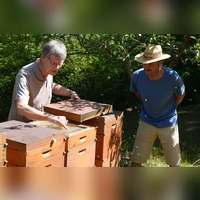 Ulrich Bauer vom Imkerverein Höchstadt/Aisch und Umgebung e.V. zeigt Wildlebensraumberater Hermann Willfarth vom AELF Fürth-Uffenheim wie die Bienen im Bienenstock nach der Honigernte gefüttert werden. (Foto: Anja Herrmann)