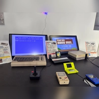 In der Sonderausstellung „Ga­ming im Wan­del der Zeit” können Besuchende alte Retro-Spiele an den Konsolen spielen.  (Foto: Nicole Gunkel)
