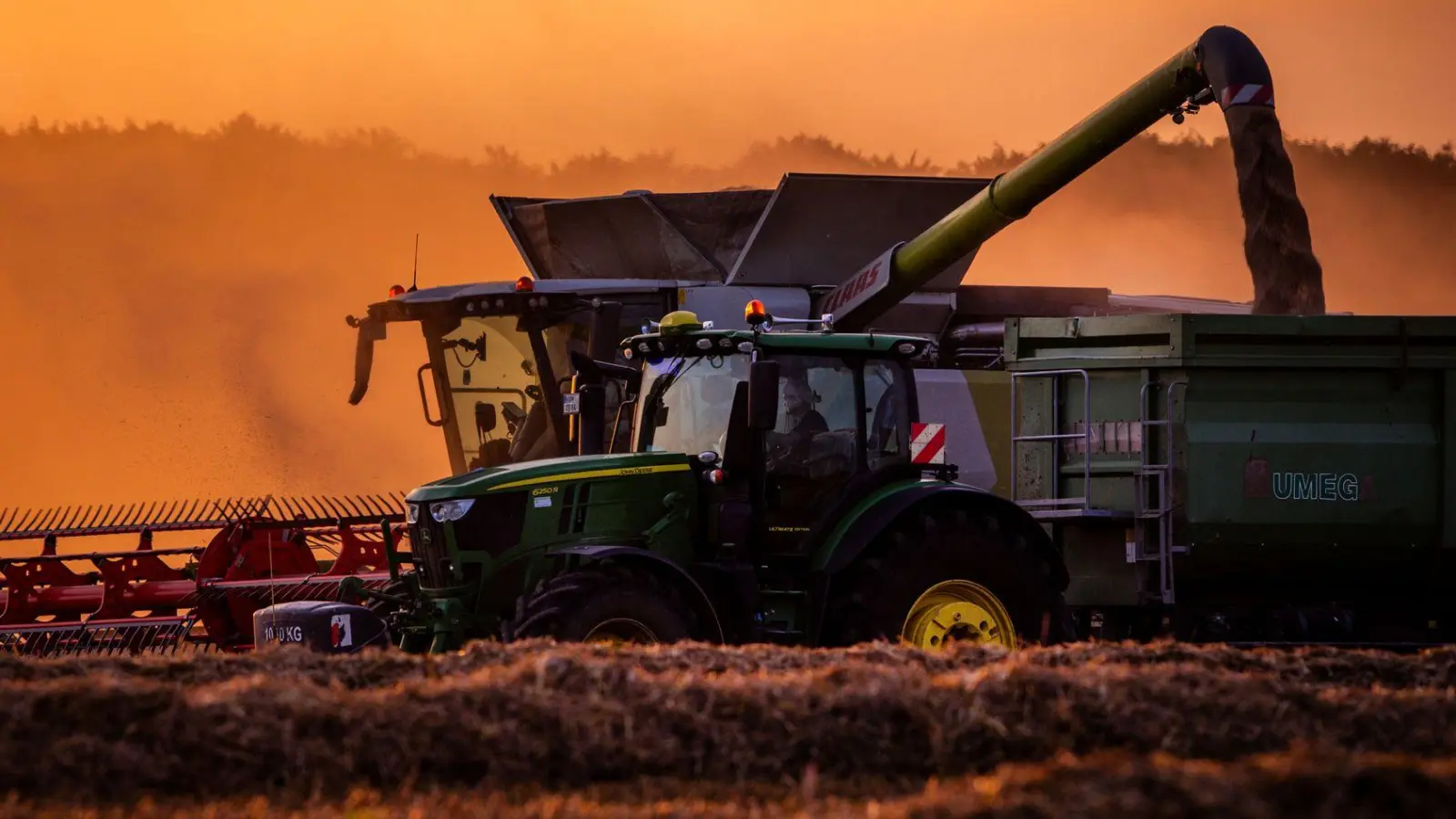 Die Bauern in Deutschland können mit der diesjährigen Getreideernte voraussichtlich zufrieden sein. (Archivbild) (Foto: Jens Büttner/dpa)