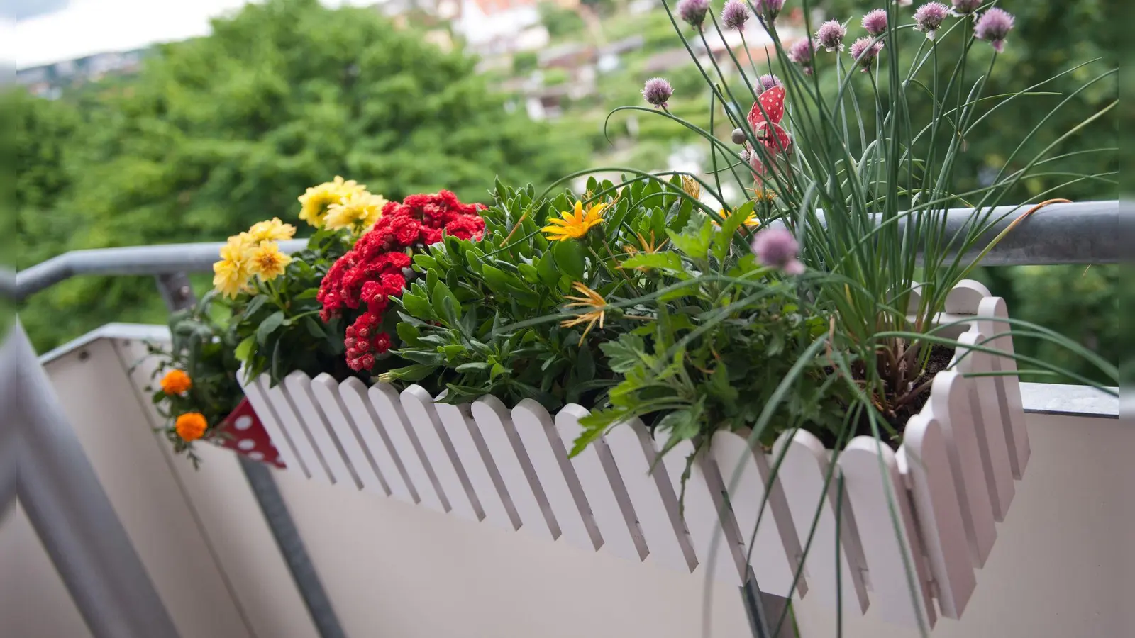 Wird in der Eigentümerversammlung der Beschluss gefasst, dass Blumenkästen künftig innen am Balkon hängen müssen, ist dies rechtens. (Foto: Andrea Warnecke/dpa-tmn)