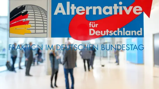 Vertreten ist die AfD bis auf Schleswig-Holstein in allen deutschen Landtagen und seit 2017 auch im Bundestag. (Foto: Kay Nietfeld/dpa)