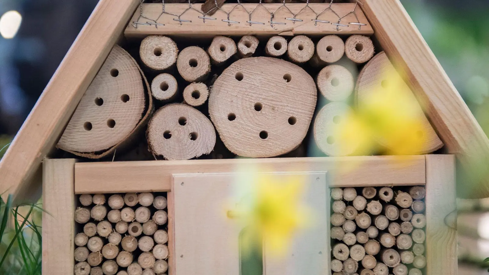 Sind die Löcher eines Insektenhotels im Stirnholz, können die Bohrungen ausfransen. (Foto: Robert Günther/dpa-tmn)