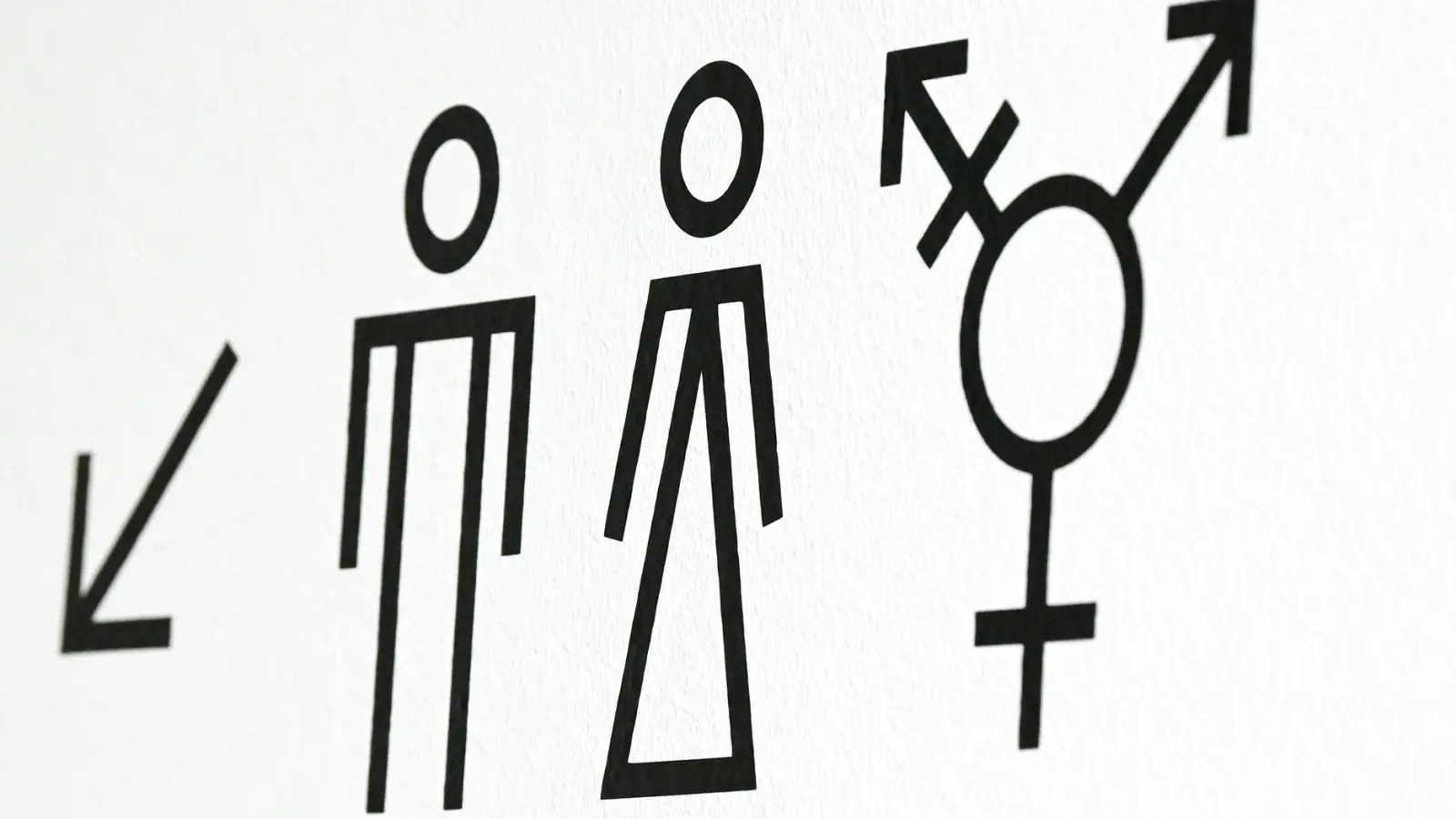 Transmenschen sind Personen, die sich dem Geschlecht, das ihnen bei Geburt zugeschrieben wurde, nicht zugehörig fühlen. (Archivbild) (Foto: Jens Kalaene/dpa)