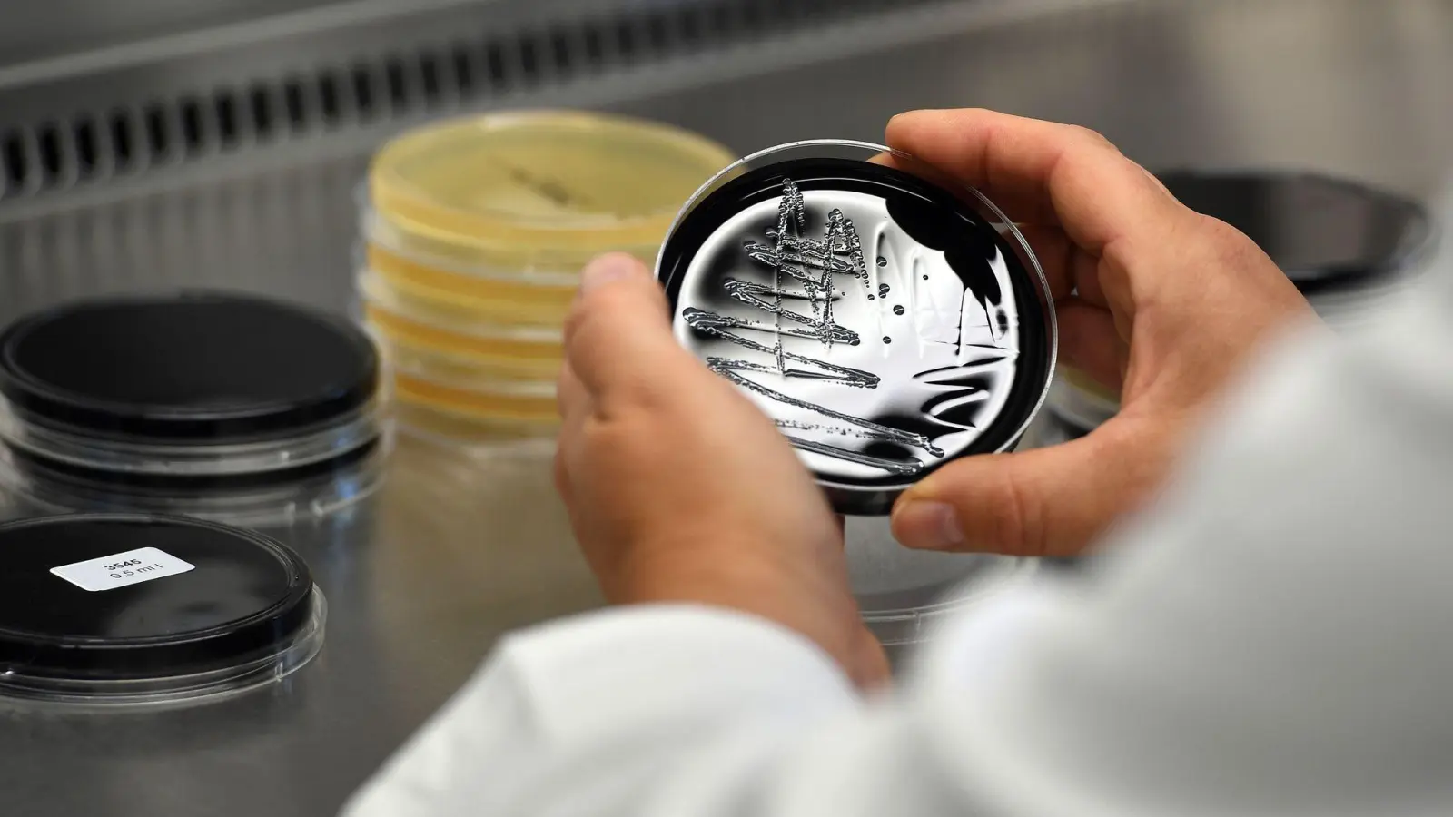 Werden Legionellen im Trinkwasser festgestellt, sind die Kosten für die Ursachenforschung und die Beseitigung des Befalls in der Regel vom Vermieter zu tragen. (Foto: Federico Gambarini/dpa/dpa-tmn)