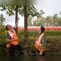 Umgestürzte Bäume verursachen auf Bahngleisen oft Probleme. (Symbolbild) (Foto: Daniel Karmann/dpa)