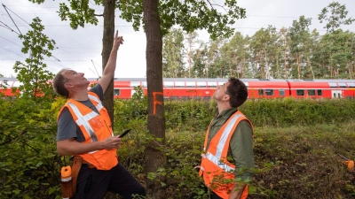 Umgestürzte Bäume verursachen auf Bahngleisen oft Probleme. (Symbolbild) (Foto: Daniel Karmann/dpa)