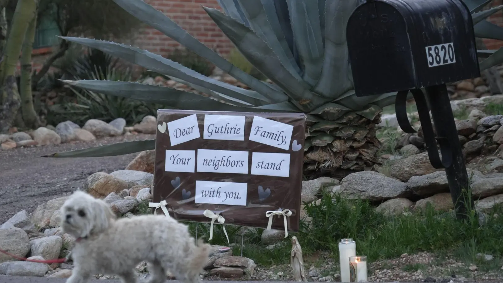 Von Guthrie, der Mutter der US-Fernsehmoderatorin Savannah Guthrie, fehlt seit Ende Januar jede Spur.  (Foto: Ty ONeil/AP/dpa)