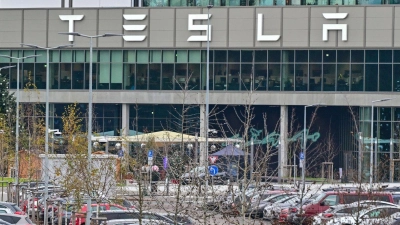 In Grünheide steht die einzige europäische Fabrik des Unternehmens von Milliardär Elon Musk. (Foto: Patrick Pleul/dpa)