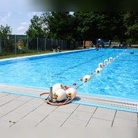 Das Schwimmbecken ist mit einer Folie abgedichtet und eignet sich deshalb eher nicht für einen Hundebadetag, der vorgeschlagen, aber abgelehnt wurde. (Foto: Luca Paul)