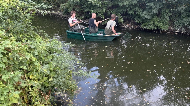 Mitglieder des Fischereivereins sind mit dem Boot auf der Aisch unterwegs, um tote Fische einzusammeln. (Foto: Matthias Schubart)