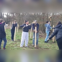Nach dem Pflanzen wurden die Holzpfähle zum Befestigen der Bäumchen eingeschlagen, (Foto: Walter Würfel)
