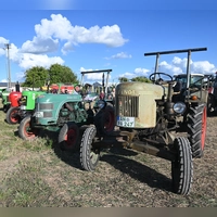 Traktor-Klassiker in Reih und Glied – mal mit Patina, mal top-restauriert – gibt es am Samstag wieder in Wieseths Ortsteil Deffersdorf zu sehen. Das Foto entstand im vergangenen Jahr. (Archivbild: Wolfgang Grebenhof)