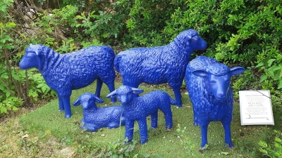 Fünf auffällig blaue Schafe zieren den Vorgarten von Johann Buckel in Herrieden. Ein Kunstprojekt, das in ganz Europa auf ein friedliches Miteinander hinweist. (Foto: Johann Buckel)