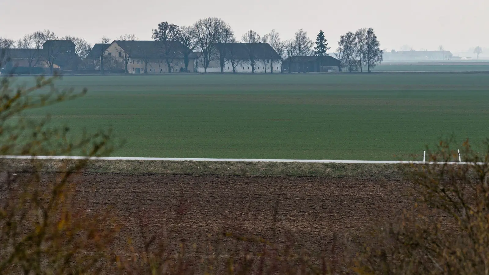 Ein Feld zwischen Irlbach und Straßkirchen. hier will BMW eine neue Batteriefabrik errichten. (Foto: Armin Weigel/dpa)