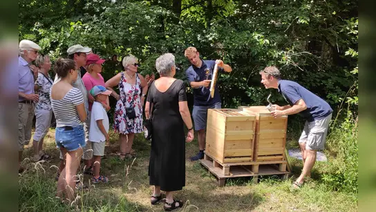 Im Garten des alten Scheinfelder Amtsgerichts erklärten die Imker anlässlich des Naturparktags die Welt der Bienen eindrucksvoll. (Foto: Carmen Wiesinger)