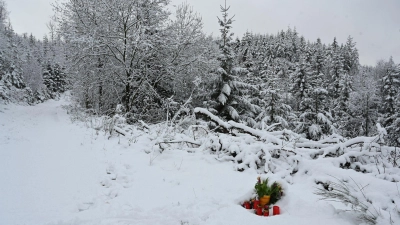 Blumen am Fundort der getöteten Zwölfjährigen. (Foto: Roberto Pfeil/dpa)
