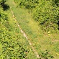 Der Verkehr rollt nun um die Berge herum: Dieser ehemalige Streckenabschnitt der Autobahn A 4 soll bald offizieller Wanderweg sein. (Foto: Deike Uhtenwoldt/dpa-tmn)