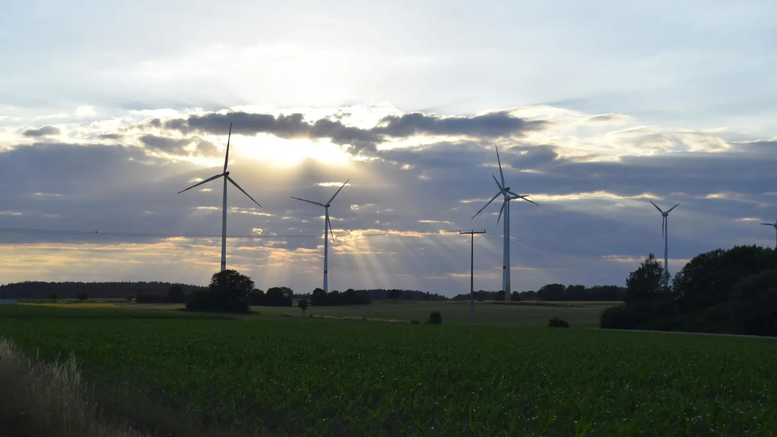 Im Stadtgebiet von Wolframs-Eschenbach sollen die neuen Anlagen eine reduzierte Nabenhöge von 145 Metern haben. (Foto: Christina Özbek)