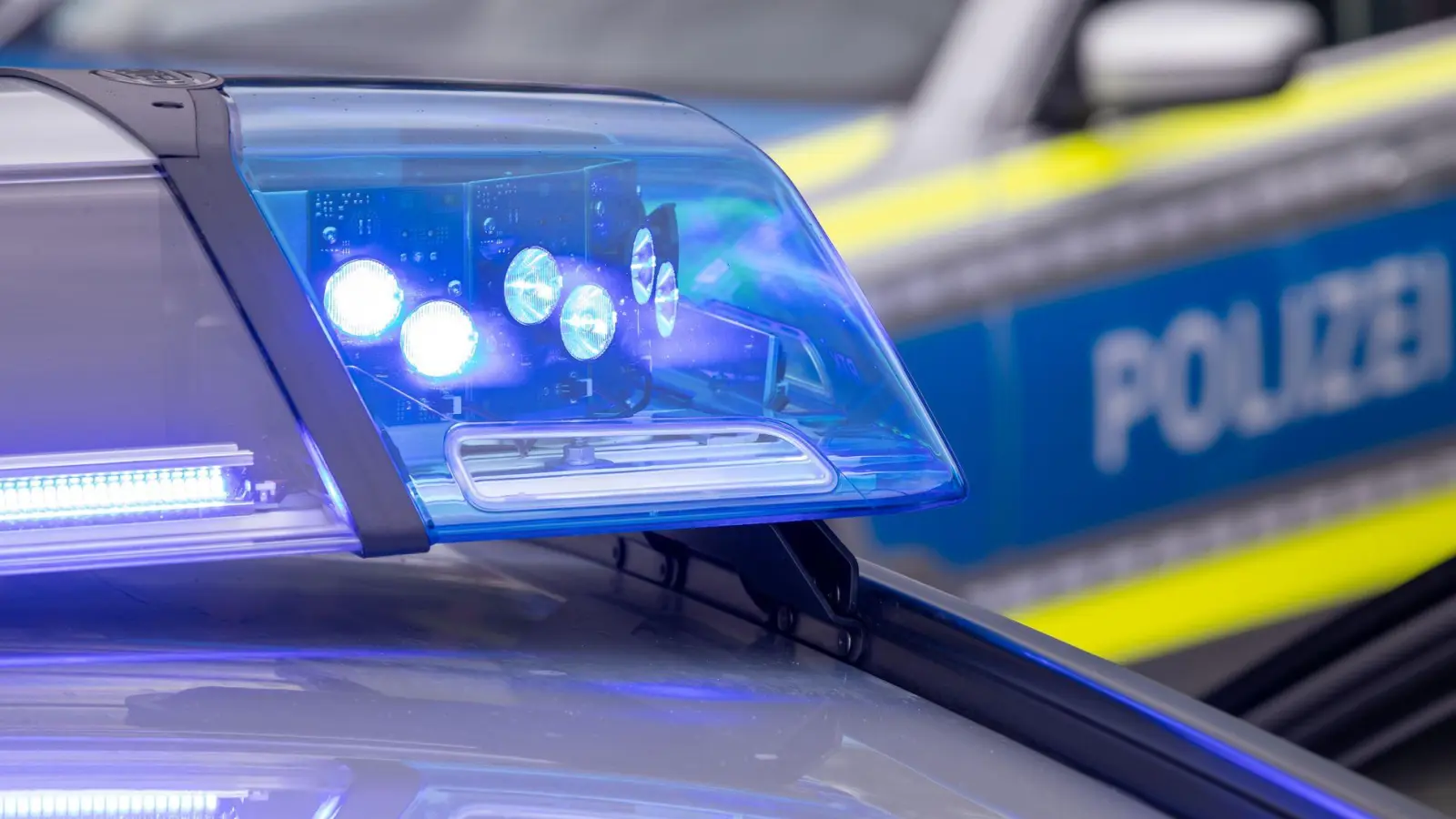 Polizisten überwältigten den mutmaßlichen Schützen. (Symbolbild) (Foto: Daniel Karmann/dpa)