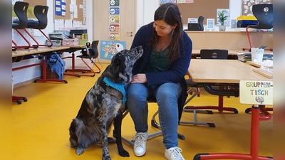 Zwei Mal pro Woche kommt Schulhund Nika mit in Barbara Sauers Kombi-Klasse. (Foto: Anna Franck)