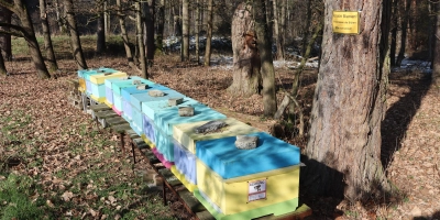 Noch herrscht Ruhe in den Bienenstöcken wie hier im Dombachtal bei Ansbach. Doch bald werden die fleißigen Tiere ausschwärmen und sollen dann weniger Gefahren durch Neonicotinoide ausgesetzt sein. (Foto: Thomas Schaller)