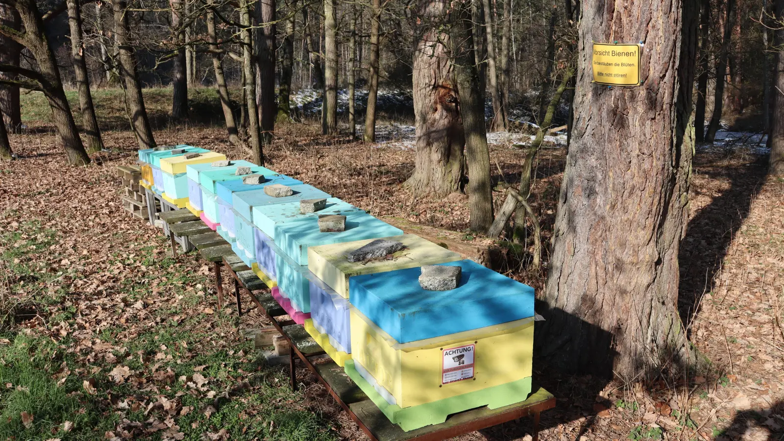 Noch herrscht Ruhe in den Bienenstöcken wie hier im Dombachtal bei Ansbach. Doch bald werden die fleißigen Tiere ausschwärmen und sollen dann weniger Gefahren durch Neonicotinoide ausgesetzt sein. (Foto: Thomas Schaller)