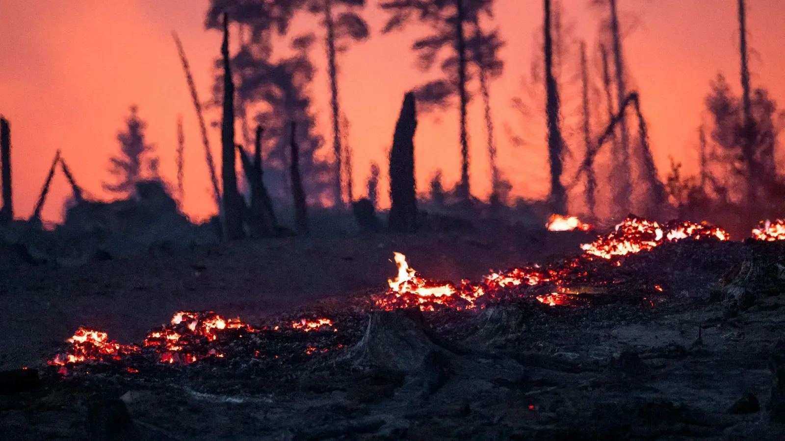 In der Nacht auf Donnerstag brannte das Waldstück in der Saalfelder Höhe weiterhin. (Foto: Daniel Vogl/dpa)