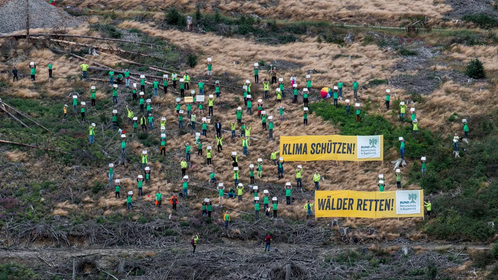 Rund 120 Aktivisten und Aktivistinnen stehen in einem kahlen Waldgebiet. (Foto: Daniel Vogl/dpa)