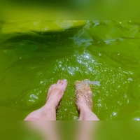 Zum Füße abkühlen gibt es noch genug Wasser. Doch entspannt ist die Lage auch in der Region nicht. (Symbolbild: Evi Lemberger)