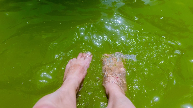 Zum Füße abkühlen gibt es noch genug Wasser. Doch entspannt ist die Lage auch in der Region nicht. (Symbolbild: Evi Lemberger)