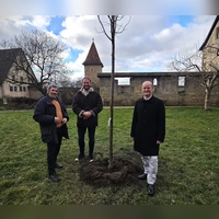 Oberbürgermeister Markus Naser, Klimaschutzmanager Dennis Geißler und Walter Würfel, 1. Vorsitzender Bund Naturschutz, Ortsgruppe Rothenburg (v.r.). (Foto: Thomas Müller / Stadt Rothenburg)