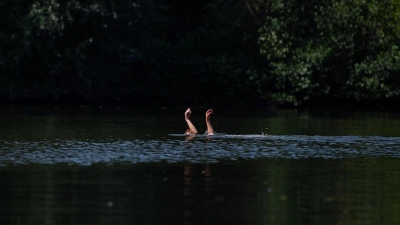 Wer in Not gerät, sollte auf sich aufmerksam machen - etwa mit den Armen winken und rufen. (Foto: Fabian Sommer/dpa/dpa-tmn)