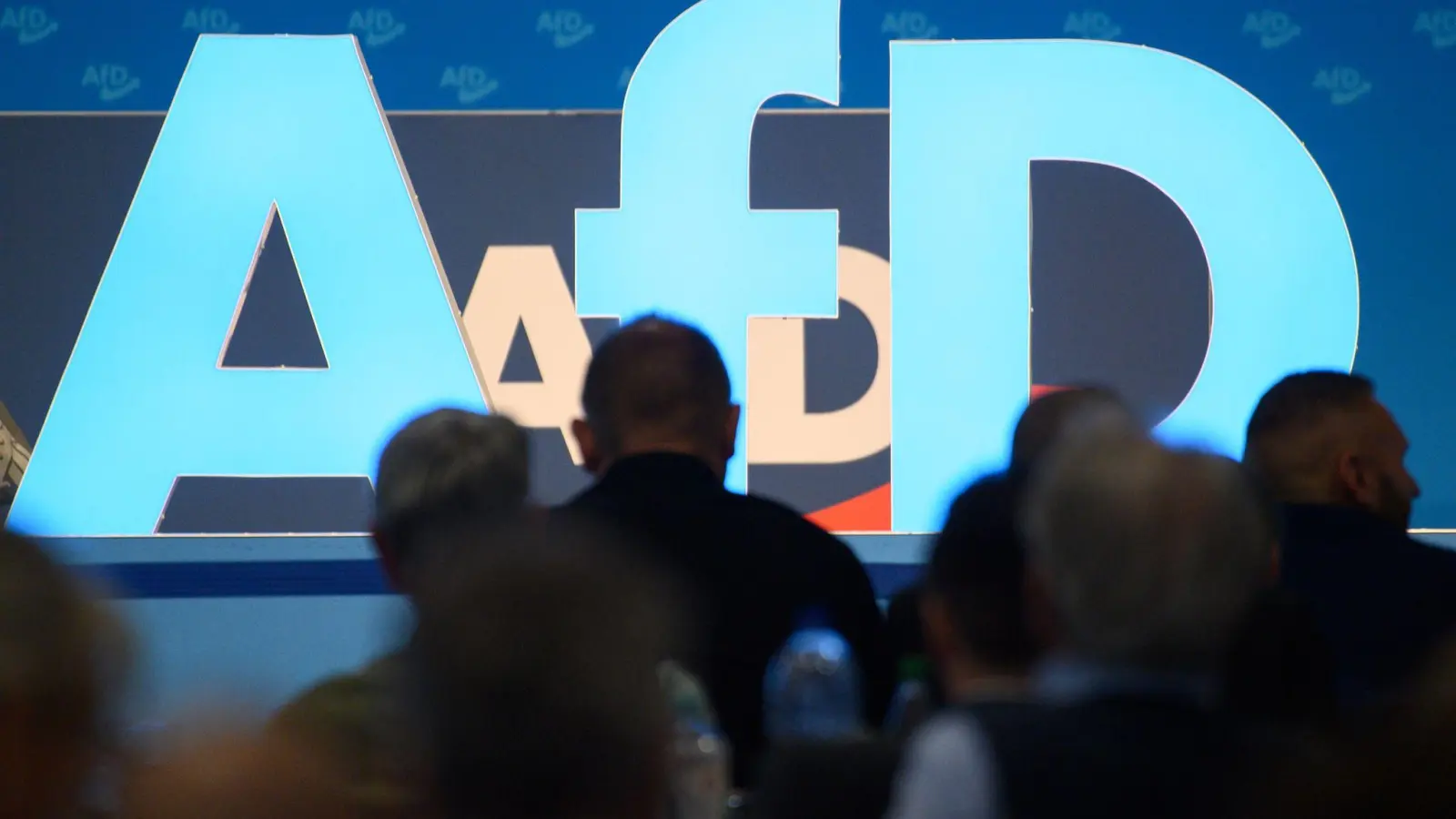 Europawahlversammlung der AfD in Magdeburg. (Foto: Klaus-Dietmar Gabbert/dpa)