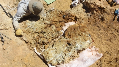 Fossile Zähne wurden 100 Kilometer südlich von Alice Springs in der Region Northern Territory gefunden. (Foto: Arthur Crichton/Flinders University/dpa)