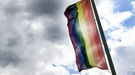 Eine Regenbogenflagge weht im Wind. (Foto: Federico Gambarini/dpa/Symbolbild)