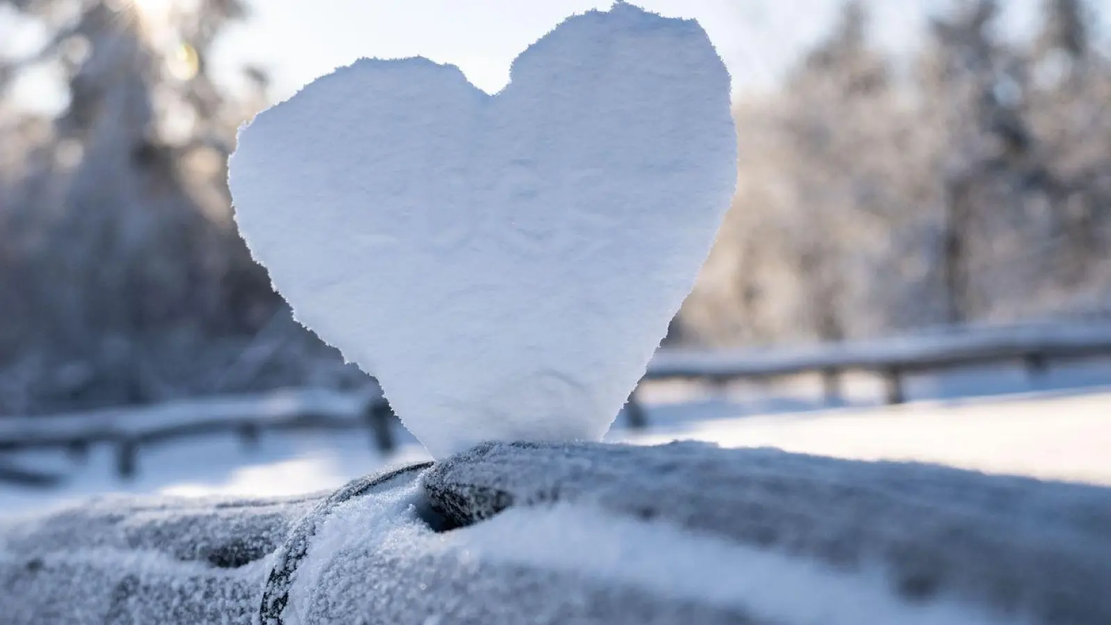 Anstrengung bei Kälte belastet das Herz-Kreislauf-System. Herzkranke sollten im Winter besonders darauf achten sich körperlich nicht zu sehr anzustrengen. (Foto: Frank Rumpenhorst/dpa/dpa-tmn)