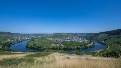 Vorerst ist der Himmel strahlend blau über der Mosel und den angrenzenden Weinbergen bei Trittenheim in Rheinland-Pfalz.  (Foto: Harald Tittel/dpa)
