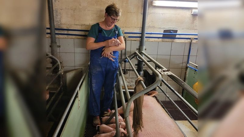 Ihr Leben richtet Petra Müller seit vielen Jahren nach dem Rhythmus der Ferkel aus. Früher hätte sie sich das nicht vorstellen können. (Foto: Lisa Müller)